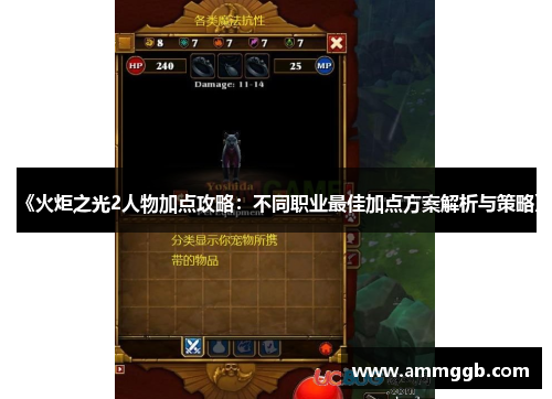 《火炬之光2人物加点攻略：不同职业最佳加点方案解析与策略》