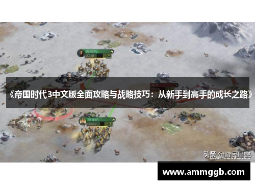 《帝国时代3中文版全面攻略与战略技巧:从新手到高手的成长之路》