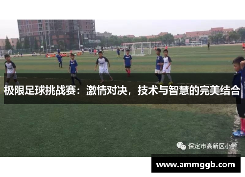 极限足球挑战赛:激情对决,技术与智慧的完美结合