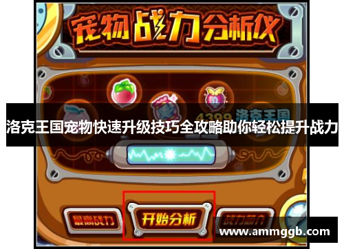 洛克王国宠物快速升级技巧全攻略助你轻松提升战力