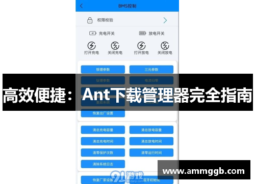 高效便捷:Ant下载管理器完全指南