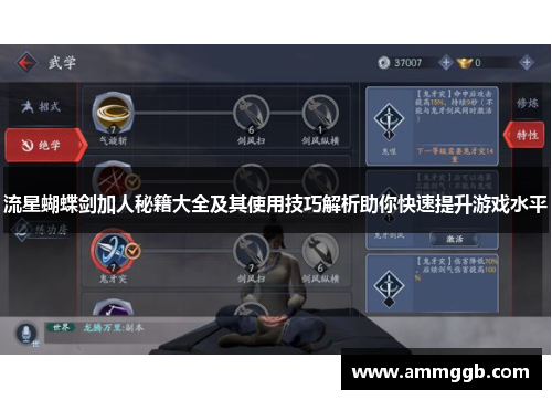 流星蝴蝶剑加人秘籍大全及其使用技巧解析助你快速提升游戏水平